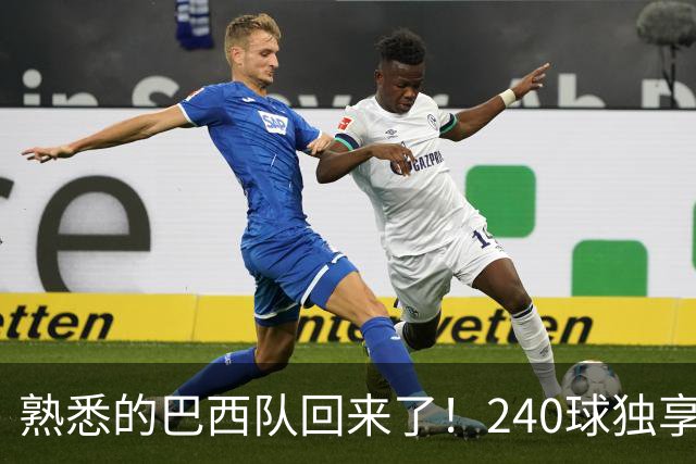 熟悉的巴西队回来了！240球独享世界杯历史进球榜榜首