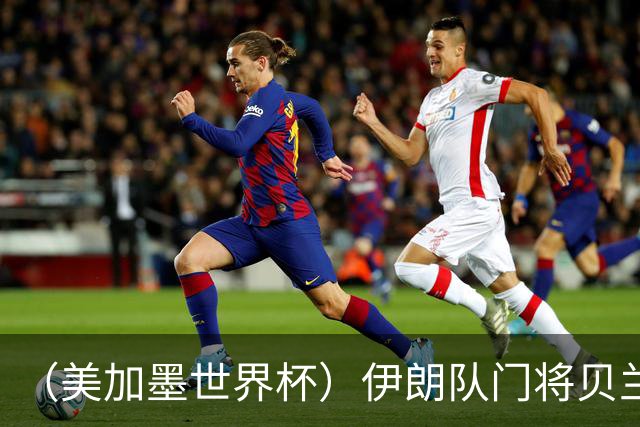 （美加墨世界杯）伊朗队门将贝兰万德的“满分”